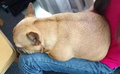 精品乱码久久久久久中文字幕